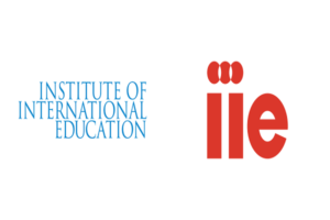 IIE Vacancy 2020: Apply For Project Head, Team Lead, Executive Posts