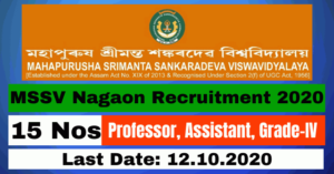 MSSV Nagaon Recruitment 2020: Apply For Professor, Assistant, Grade-IV 15 Posts Vacancy