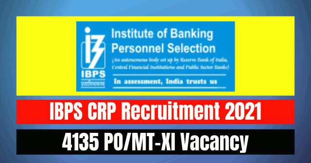 IBPS CRP Recruitment 2021: 4135 PO/MT-XI Vacancy