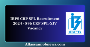 IBPS CRP SPL Recruitment 2024 - 896 CRP SPL-XIV Vacancy