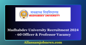 Madhabdev University Recruitment 2024 - 60 Officer & Professor Vacancy